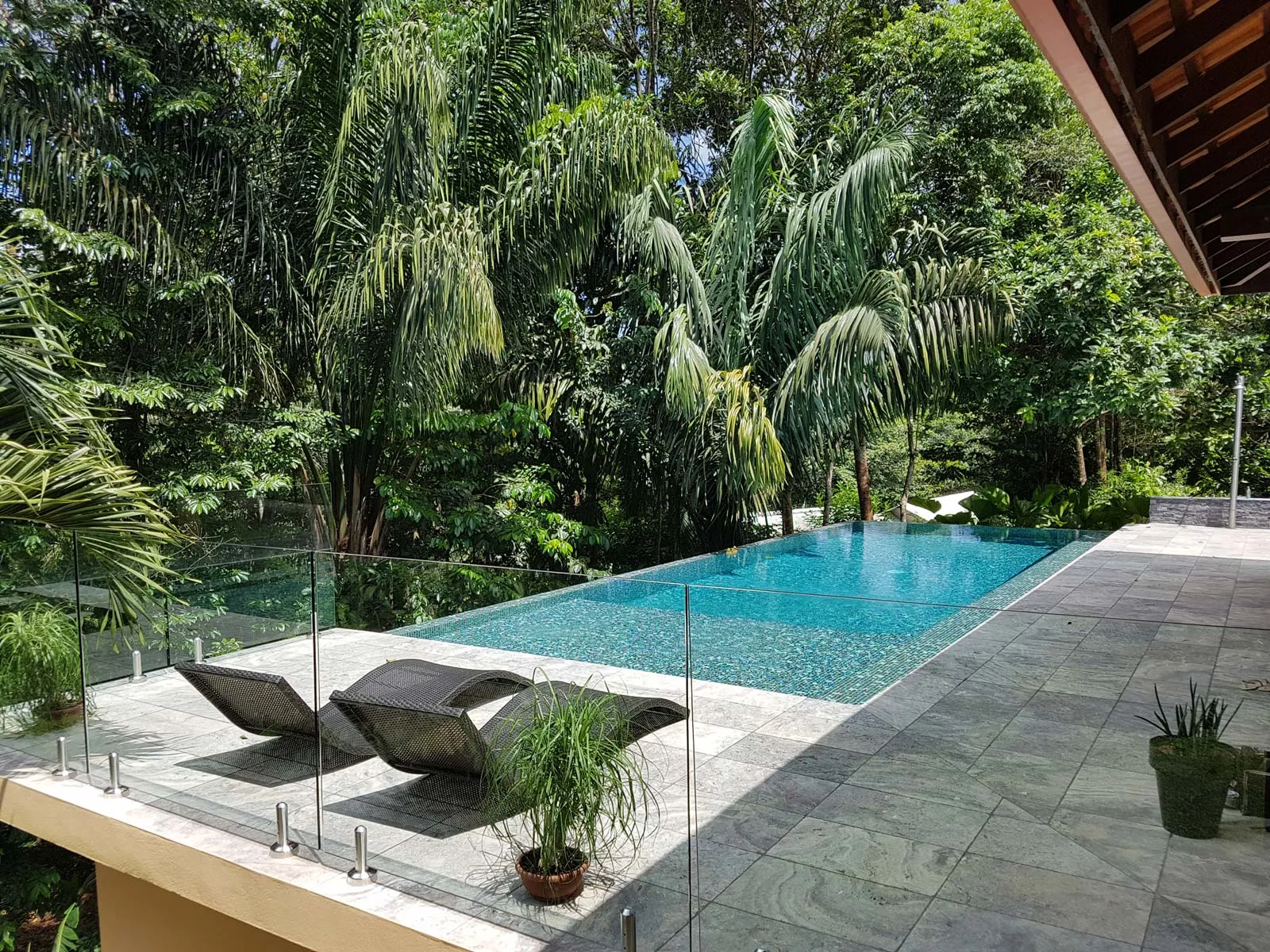 Piscine dans un jardin paysager exotique — palmiers, rambarde verre et revêtement mosaïque turquoise